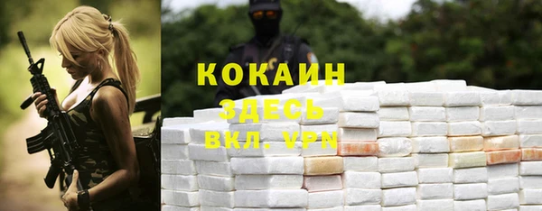 хмурый Алзамай