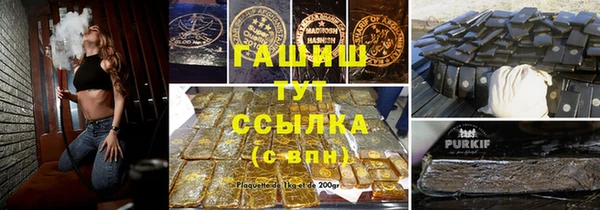 хмурый Алзамай