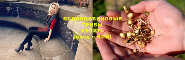 гидропоника Алексеевка